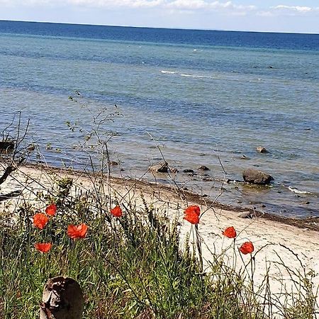 Ferienwohnung Storchenblick Zurow Bagian luar foto