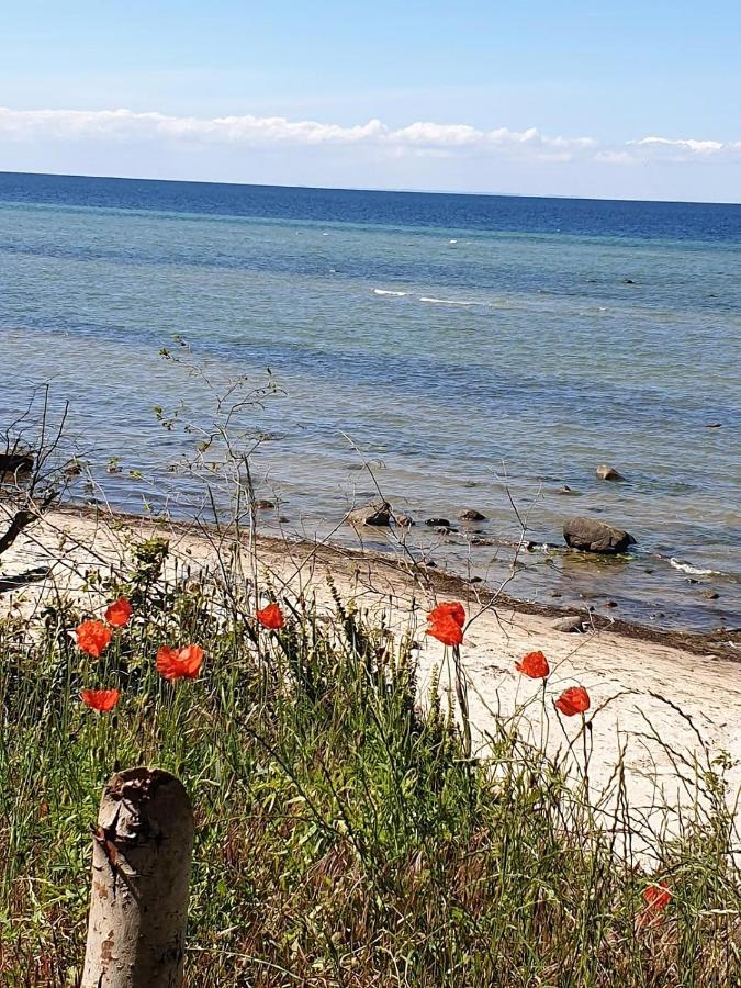 Ferienwohnung Storchenblick Zurow Bagian luar foto